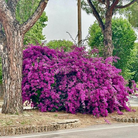 Casa Mila White Βίλα Marina di Cerveteri Εξωτερικό φωτογραφία