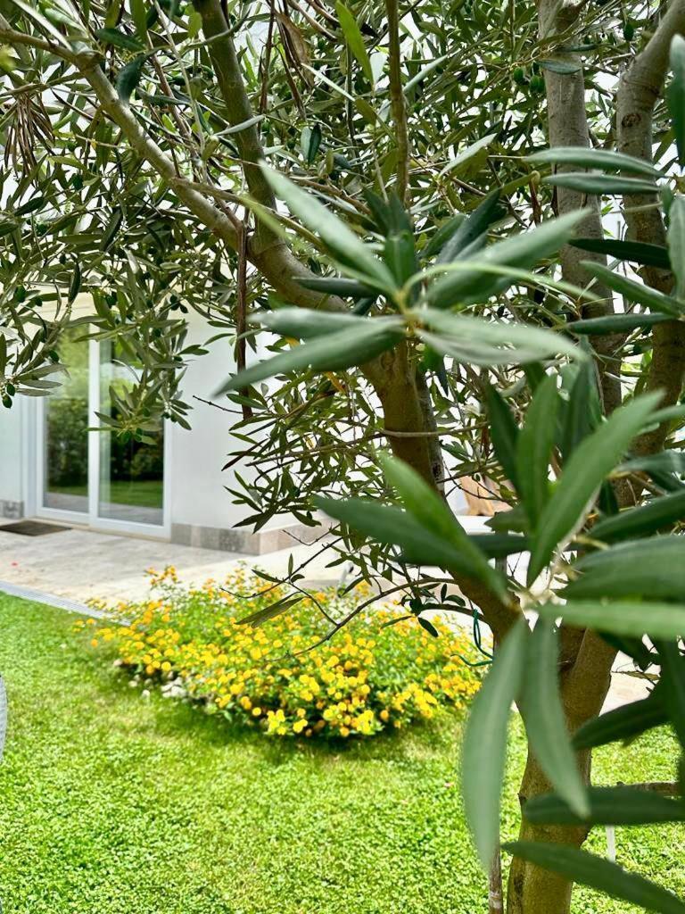 Casa Mila White Βίλα Marina di Cerveteri Εξωτερικό φωτογραφία