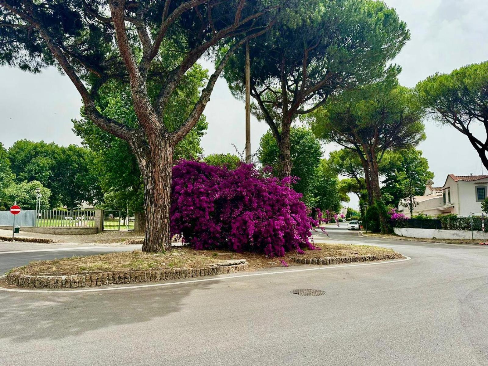 Casa Mila White Βίλα Marina di Cerveteri Εξωτερικό φωτογραφία